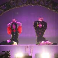 写真・『HAPPY NEW YEAR 2019 ~DREAM LAND~』（５）