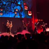 写真・「TDCでまねきケチャ2019!」（19）