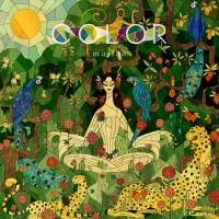 写真・『COLOR』インタビュー（１）