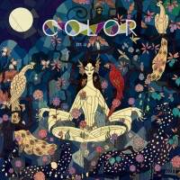写真・『COLOR』インタビュー（３）