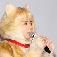 北山宏光、多部未華子、平澤宏々路、飯豊まりえ、要潤「トラさん～僕が猫になったワケ～」完成披露試写会（写真１）