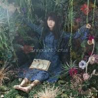 写真・「Innocent Notes」インタビュー（４）
