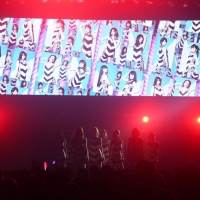 写真・『predia tour “THE ONE” FINAL ～Supported By LIVEDAM STADIUM～』（１）
