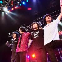 写真・『THE COLLECTORS TOUR 2019“YOUNG MAN ROCK”』（８）