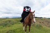 デビュー10周年くまモン、写真集付きCDを誕生日に発売