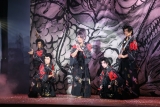 旅一座・劇団美山、大衆演劇の魅力を凝縮　悦楽の浅草公演