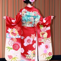 STU48、AKB48グループ成人式