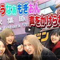 村山彩希、岡田奈々、茂木忍、向井地美音が検証、秋葉原で声をかけられるか
