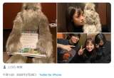 橋本環奈「ちゃんと写ってる写真ないな」上白石萌歌＆萩原利久に満面笑顔