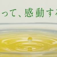吉沢亮・満島ひかり「キリン 生茶」新CM