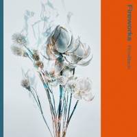 FlowBack「Fireworks」インタビュー