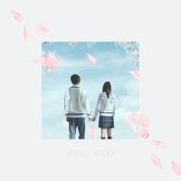 MACO「桜の木の下」インタビュー