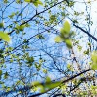稲垣吾郎、新型コロナ基金への思い