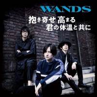 WANDS、ニューシングルがFM802で音源フル公開