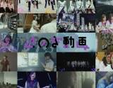 乃木坂46「のぎ動画」提供開始、収益一部寄付　久保史緒里「より近くに」