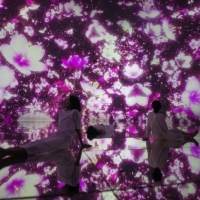 グラモフォン×teamLab Planets TOKYO、邂逅をテーマにしたコラボ動画を公開