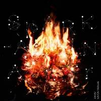 Aimer「あなたの心まで燃えてくるような一曲に」シングルリリースが決定