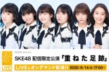 SKE48、劇場公演６・14から配信限定で開催