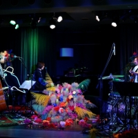 FLOWER FLOWER、配信ライブ第２回開催を発表