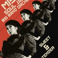 MISIA、ベストアルバムを引っ提げたアリーナツアーを映像化