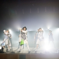 TEAM SHACHI「どんな状況でも楽しむプロだから」激流の時代に魅せたタフネス