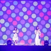 TEAM SHACHI「どんな状況でも楽しむプロだから」激流の時代に魅せたタフネス
