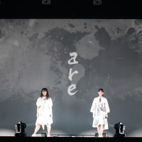 TEAM SHACHI「どんな状況でも楽しむプロだから」激流の時代に魅せたタフネス