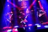 THE BACK HORN、主戦場ライブハウスで見せた表現者としての生き様