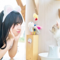 日向坂46齊藤京子、まったりデート　猫カフェでラブビーム