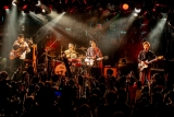ストレイテナー「前に進みたい」ライブで見せたロックバンドの可能性