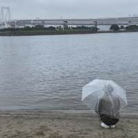 池江璃花子、ハタチの決意『Ｎスペ』第２弾