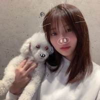 吉川愛、愛犬と牛に“変身”した姿が話題「かわいい」