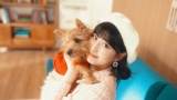 TWICE・MOMO、yukaDD（;´∀｀）のMVに初出演「ずっと憧れの存在」