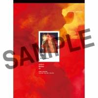 aiko、14thアルバム「どうしたって伝えられないから」収録内容発表