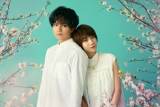 『桜のような僕の恋人』映像化、主演・中島健人「最高傑作にしたい」