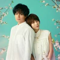 『桜のような僕の恋人』映像化、主演・中島健人「最高傑作にしたい」