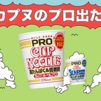 眉村ちあき「顔ドン」替え歌による日清食品TVCMが完成