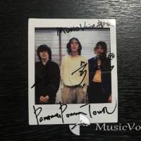 Panorama Panama Town『Rolling』インタビュー