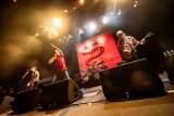 ザ・クロマニヨンズ、一夜限りのSPライブを収録したDVD発売決定