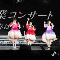 峯岸みなみ卒業コンサート