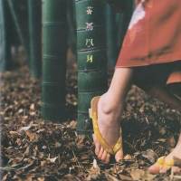 スピッツ、レア楽曲を加えた『花鳥風月＋』CDリリース決定
