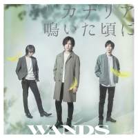 WANDS、新曲「カナリア鳴いた頃に」ジャケ写公開