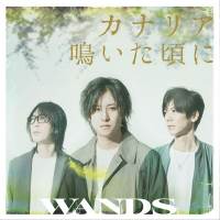 WANDS、新曲「カナリア鳴いた頃に」ジャケ写公開