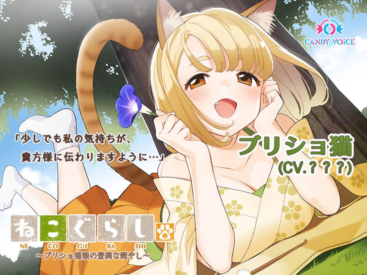 ASMR音声作品「ねこぐらし。」シーズン３　第六弾「ブリショ猫」キービジュアル公開