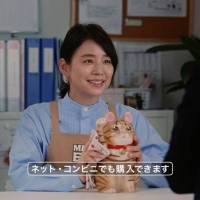 「MEGA BIG」新CM