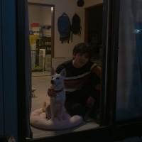 映画『犬部！』“獣医師”林遣都
