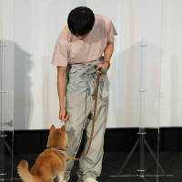 中川大志『犬部！』完成披露イベント