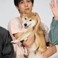 中川大志『犬部！』完成披露イベント