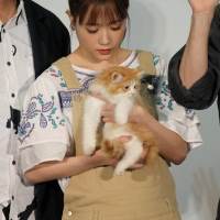 大原櫻子『犬部！』完成披露イベント