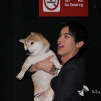 中川大志『犬部！』初日舞台挨拶